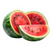 WATERMELON INDIA