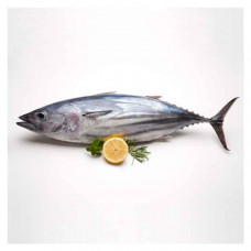 Tuna Fish Small Qatar 1kg