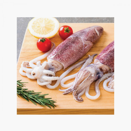 Squid India 1kg