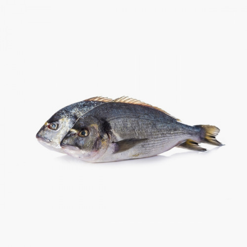 Seabream Turkey 1kg