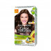 Garnier Brown 4 Color