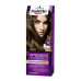 Palette 6-0 Dark Blonde Hair Colour 50ml