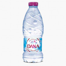 Dana Pure Mineral Water 350ml