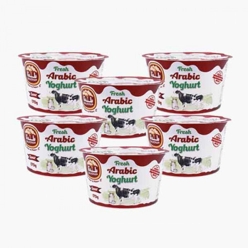 Baladna Arabic Yoghurt 170g 5 Pieces +1