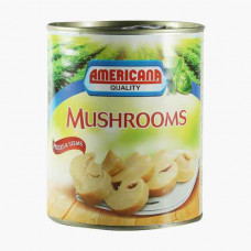 Americana Pieces Stems Mushroom 850g
