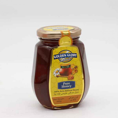 Golden Glory Honey Oval Jar 500g
