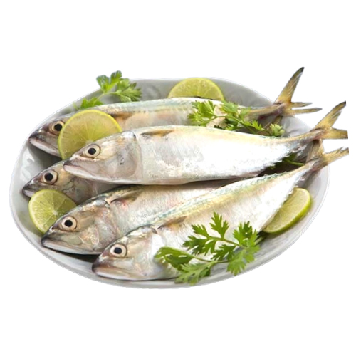 Mackerel Small 1Kg