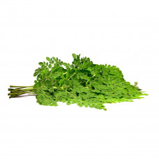 Drumstick Leaves India 1 Bunch - أوراق مورينجا هند 1 حزمة 