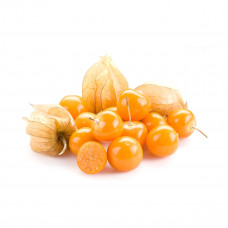 Physalis Colombia 1 Pkt - حرنكش كولومبيا 1عبوة 