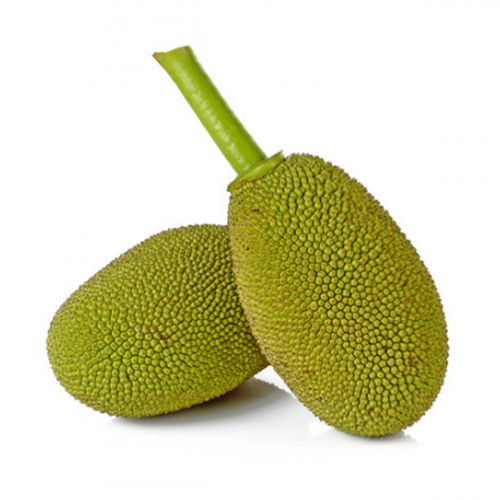 Tender Jackfruit India Air 1Kg (Approx) - جاكفروت طري هندي طائر1كج (تقريبا)